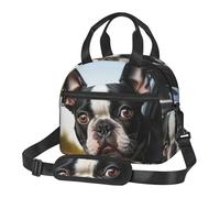 Borsa per il pranzo con cucciolo di cane Boston Terrier, per uomini e donne, grande capacità, riutilizzabile, isolata, con tracolla regolabile, per adulti