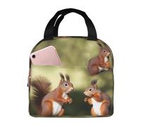 Borsa per il pranzo con scoiattoli carini per le donne riutilizzabile Lunch Box isolato Cooler Lunchbox portatile Borsa per il pranzo per uomo Contenitore per il pranzo di grande capacità per il