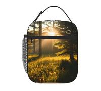 Borsa per il pranzo con stampa di luce del sole mattutino nel deserto per ufficio, lavoro, picnic, borsa per il pranzo riutilizzabile per adulti