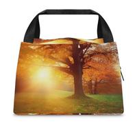 Borsa per il pranzo con tramonto autunnale per donne e uomini, riutilizzabile, borsa termica per il pranzo, grande capacità, contenitore per il pranzo, per lavoro, ufficio, picnic, viaggi