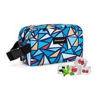 Borsa per il pranzo congelabile, borsa per snack congelabile, mini borsa termica per viaggi/lavoro/scuola, borsa per snack isolata, scatola per snack congelabile con fibbia a manico