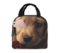 Borsa per il pranzo per cani da compagnia carina per donne e uomini adulti isolata scatola per il pranzo riutilizzabile a tenuta stagna borse tote per il pranzo di grande capacità contenitore per