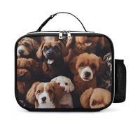 Borsa per il pranzo per cani, riutilizzabile, isolata, con porta bottiglia d'acqua, portatile, impermeabile, a prova di perdite, borsa per il pranzo per donne e uomini, lavoro, viaggi, picnic