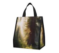 Borsa per il pranzo per donne e uomini, graziosa scatola termica per il pranzo, riutilizzabile, portatile, luce solare mattutina nel deserto, borsa per il pranzo, per lavoro, ufficio, viaggi