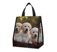 Borsa per il pranzo per donne e uomini, graziosa scatola termica per il pranzo, riutilizzabile, portatile, con cucciolo seduto nel cestino, borsa tote per lavoro, ufficio, viaggi