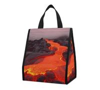 Borsa per il pranzo per donne e uomini, graziosa scatola termica per il pranzo, riutilizzabile, portatile, in lava rossa, per lavoro, ufficio, viaggi