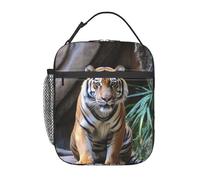 Borsa per il pranzo per donne e uomini, riutilizzabile, isolata, borsa per il pranzo, motivo: tigre nello zoo, a tenuta stagna, portatile, contenitore per il pranzo per picnic e viaggi