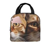 Borsa per il pranzo per gatti per le donne riutilizzabile Lunch Box isolato Cooler Lunchbox portatile Lunch Tote Bag per gli uomini Grande Capacità Contenitore per il pranzo per il lavoro Picnic