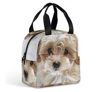 Borsa per il pranzo riutilizzabile con cane nella neve, isolata, per donne e uomini, a prova di perdite, borsa per il pranzo, borsa per il pranzo, borsa per il pranzo, per lavoro, viaggi, ufficio