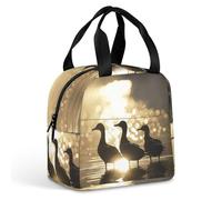 Borsa per il pranzo riutilizzabile in piedi in acqua isolata scatola per il pranzo per donne uomini a tenuta stagna borsa termica per il pranzo borsa per il pranzo borsa per il pranzo per lavoro