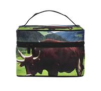 Borsa per il trucco, Borsa per cosmetici grande Borsa da viaggio portatile in pelle impermeabile per donne e ragazze,Vero marrone di mucca svizzero