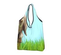 Borsa per la spesa pieghevole, riutilizzabile, lavabile, leggera, 2 pezzi | Coniglietto sull'erba verde ha stampato le borse di totalizzatore di grande capacità per stoccaggio di viaggio del