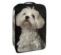 Borsa per scarpe da viaggio,custodia per scarpe portatile impermeabile,Cane bianco carino Bichon Frise