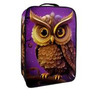 Borsa per scarpe da viaggio,custodia per scarpe portatile impermeabile,Gufo notturno del cielo viola astratto