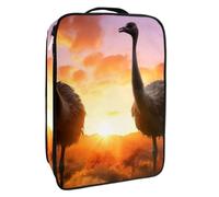 Borsa per scarpe da viaggio,custodia per scarpe portatile impermeabile,Modello di deserto di uccelli animali