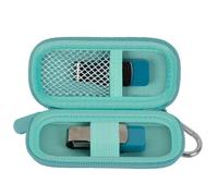 Borsa per USB Stick compatibile con SanDisk/per Samsung/per PNY Flash Drive, Memory Stick Thumb Drive, borsa per dati, 16/32/128GB Accessori Elettronici Portatile (Blu Verde)