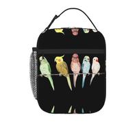 Borsa portapranzo colorata con stampa di pappagalli sull'albero, per ufficio, lavoro, picnic, borsa per il pranzo riutilizzabile per adulti
