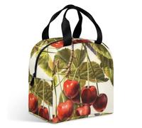 Borsa portapranzo per adulti, a prova di perdite, isolata, con cerniera e tasche multiple, grande capacità, per ufficio, lavoro, picnic