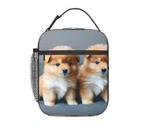 Borsa portapranzo riutilizzabile con stampa di cuccioli della Pomerania e punto 1, borsa per il pranzo riutilizzabile, per mantenere il cibo fresco, scuola, lavoro, viaggi, picnic