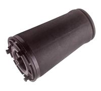 Borsa posteriore di muggito della molla di sospensione dell'aria compatibile con Trailblazer 2002 2009 15089028 Sinistra Destra