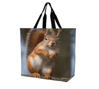 Borsa Spesa Squirrel Funny Animal Borsa Tracolla Resistente Portatile Borse A Spalla Per Casa Picnic Viaggi