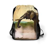 Borsa sportiva con tasca per cintura, stampa elefante africano borsa separazione asciutto e bagnato borsa multiuso borsa sportiva e fitness borsa sportiva elegante borsa sportiva, stile, 45,5 x 41,5 x