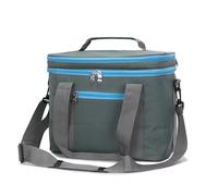 Borsa termica da 18 l, grande, isolamento termico, per picnic, portatile, per piante, cibo, borsa termica (grigia)