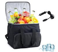 Borsa termica elettrica da 15 l, 12 V CC, frigo portatile con tracolla e tasca portaoggetti per auto, camion e camper
