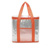 Borsa termica multiuso per cibo e bevande, ideale per campeggio, picnic e gite di un giorno, disponibile tra 16 o 26 litri (arancione 16 L)