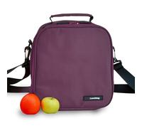 Borsa termica per alimenti 3,8 l - Lunch Bag con 2 contenitori in vetro da 0,57 l e 0,84 l, borsa isotermica a doppia cerniera, portapranzo da lavoro impermeabile per ufficio, università, picnic