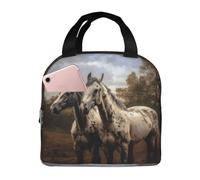Borsa termica per il pranzo a due cavalli, per donne e uomini, riutilizzabile, a prova di perdite, borsa termica per il pranzo per ufficio picnic