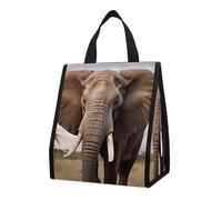 Borsa termica per il pranzo a forma di elefante, per donne e uomini, borsa della spesa riutilizzabile, grande borsa termica a tenuta stagna, pieghevole, portatile, per lavoro, campeggio, picnic