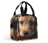 Borsa termica per il pranzo a forma di simpatico cane per donne e uomini, a prova di perdite, antimacchia, riutilizzabile, borsa per il pranzo, per lavoro, viaggi, attività all'aperto