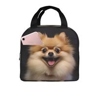 Borsa termica per il pranzo, a pelo corto, per donne e uomini, a prova di perdite, borsa termica per il pranzo, per lavoro, picnic