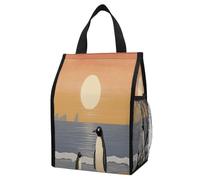 Borsa termica per il pranzo, con due immagini di pinguini, capacità 12 l, con doppie tasche laterali, borsa termica pieghevole, a prova di perdite, borsa termica riutilizzabile per picnic, lavoro