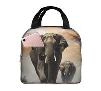 Borsa termica per il pranzo con elefante nella nebbia, per donne e uomini, riutilizzabile, portatile, a prova di perdite, con tasca frontale, per viaggi, picnic, ufficio, lavoro