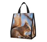 Borsa termica per il pranzo con scoiattolo sul ramo per donne e uomini, borsa della spesa riutilizzabile, grande borsa termica a tenuta stagna, pieghevole, portatile, per lavoro, campeggio, picnic