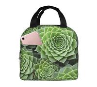 Borsa termica per il pranzo con succulente a strisce, borsa termica riutilizzabile per donne, uomini, lavoro, picnic e ufficio