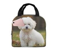 Borsa termica per il pranzo da donna, riutilizzabile, per ufficio, viaggio, termica, bichon frisé, borsa termica per il pranzo per cani, a prova di perdite, borsa termica per uomo, grande capacità