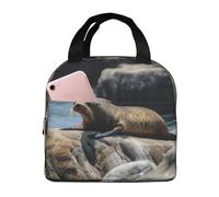 Borsa termica per il pranzo da donna, riutilizzabile, per ufficio, viaggio, termica, con sigillo marrone sulla roccia, borsa termica per il pranzo, a prova di perdite, borsa termica per uomo, grande