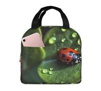 Borsa termica per il pranzo da donna, riutilizzabile, per ufficio, viaggio, termica, piccola coccinella, borsa termica per il pranzo, borsa termica a tenuta stagna, borsa termica da uomo, grande