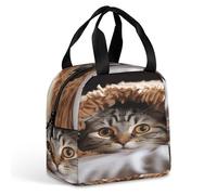 Borsa termica per il pranzo, gatto sotto la coperta stampa borsa pasto, borsa per il pranzo, borsa termica a tenuta stagna, borse per il pranzo portatili riutilizzabili