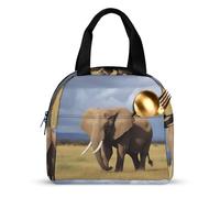 Borsa termica per il pranzo, per donne e uomini, 22 x 20 x 13 cm, borsa termica riutilizzabile, per il lavoro e il picnic
