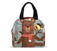 Borsa termica per il pranzo, per donne e uomini, 22 x 20 x 13 cm, borsa termica riutilizzabile, per il lavoro e il picnic