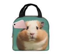 Borsa termica per il pranzo per donne e uomini, a prova di perdite, borsa termica per il pranzo con manico, piccola borsa termica per il pranzo, borsa termica per il pranzo, simpatica e strana criceto