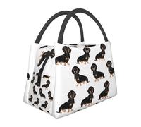 Borsa termica per il pranzo per donne e uomini, borsa termica per il pranzo, bassotto, Weiner, cani da compagnia, riutilizzabile, per lavoro, ufficio, viaggi