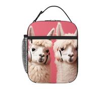 Borsa termica per il pranzo per donne e uomini, borsa termica riutilizzabile, alpaca per ascoltare musica, borsa per il pranzo per lavoro e picnic