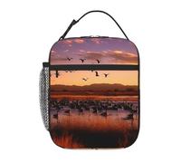 Borsa termica per il pranzo per donne e uomini, borsa termica riutilizzabile, borsa termica Bosque del Apache Wildlife Refuge, borsa per il pranzo per lavoro e picnic