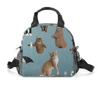 Borsa termica per il pranzo per donne e uomini che piovono gatti e cani, a prova di perdite, borsa termica riutilizzabile per il pranzo, portatile, per lavoro, ufficio, picnic