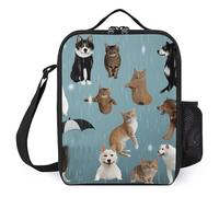 Borsa termica per il pranzo per donne e uomini che piovono gatti e cani, borsa per il pranzo riutilizzabile, per lavoro e ufficio